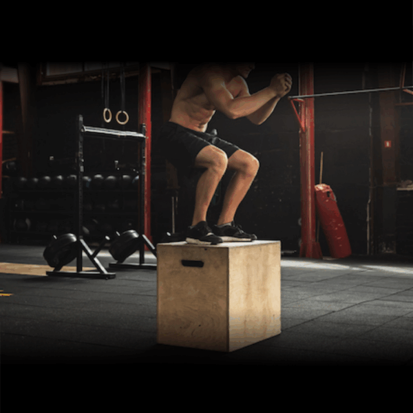 PERSONALIZED 20-DAY WORKOUT PLAN